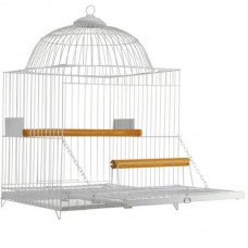 10436 - GAIOLA PAPAG.TROP.CAPITOLIO.40X60X40 MON