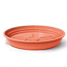 1107 - PRATO MARR.N8-A5XL32,5CM NUTRIP