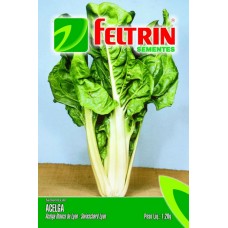 123591 - SEMENTE FELTRIN ACELGA BRANCA C/25UN