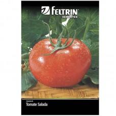 18555 - SEMENTE TOMATE GAUCHO MELHORADO N.C/25U