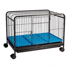 18638 - FAUNA PET MULTIUSO P BLACK/AZUL